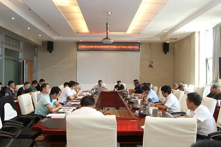 云煤（pp电子）集团党委开展2021年第八次党委理论学习中心组集中学习