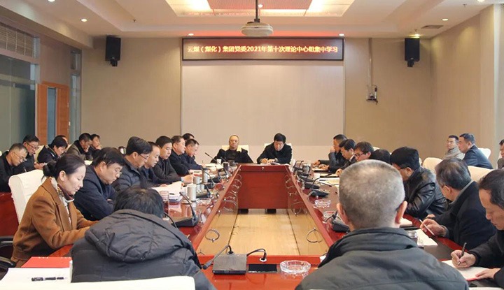 云煤（pp电子）集团党委开展2021年第十次理论学习中心组集中学习