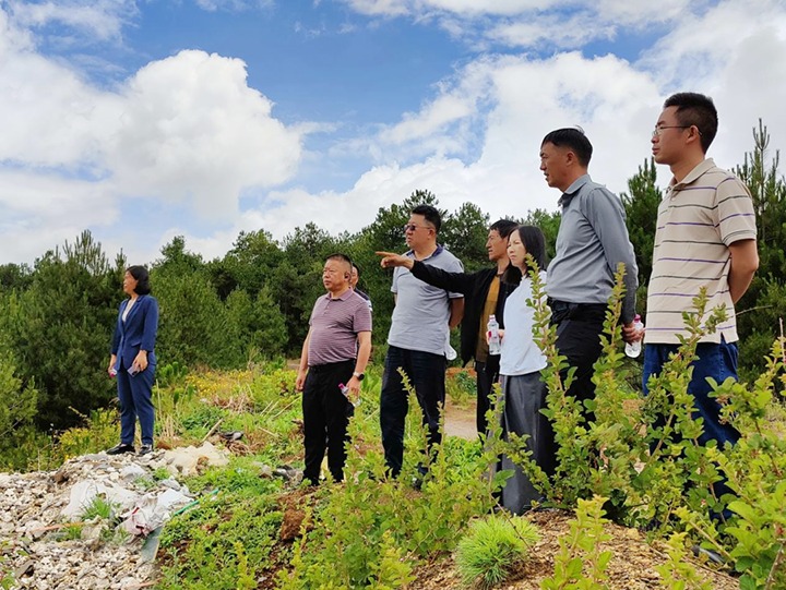 【主题教育】云煤（pp电子）集团专职外部董事寸延峰，，，，，，集团党委委员、财务总监莫晓丹到马厂煤矿、汉家厂煤矿、竹麻地煤矿开展主题教育调研