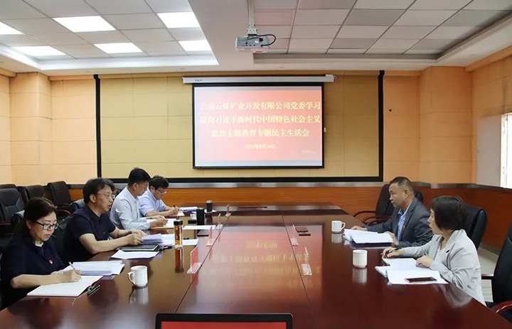 【主题教育】云煤（pp电子）集团第二指导组到云煤矿业公司指导主题教育专题民主生涯会
