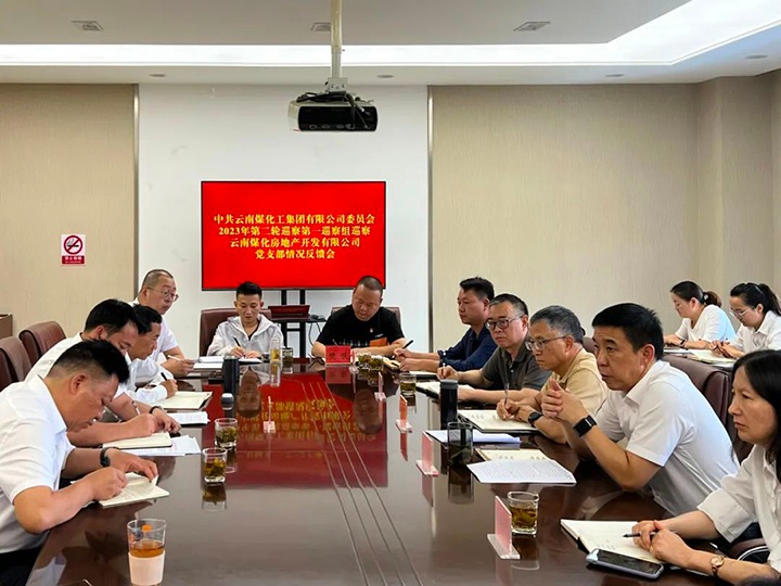 【聚焦云煤】云煤（pp电子）集团党委2023年第二轮巡察第一巡察组向云南pp电子房地产开发有限公司反响巡察情形
