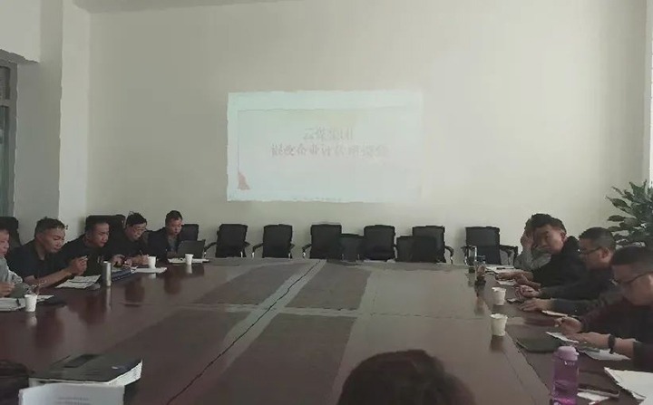 【聚焦云煤】云煤（pp电子）集团召开混淆所有制企业评估座谈会