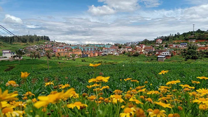 【云煤岁月】笃行不辍营生长，，砥砺奋进谱新篇——平煤故事（一）